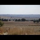 Das ist noch lange nicht das Ende der LKW-Schlange